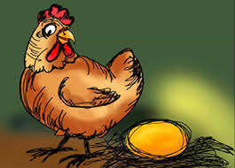 gallina1